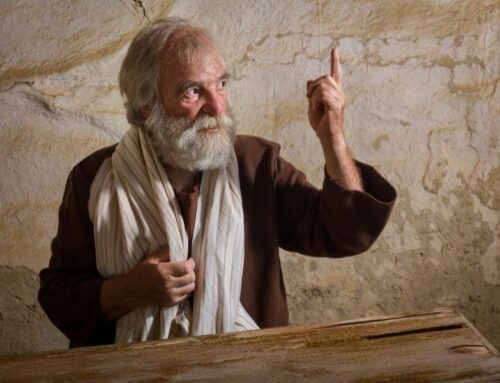 Prophecies in Progress